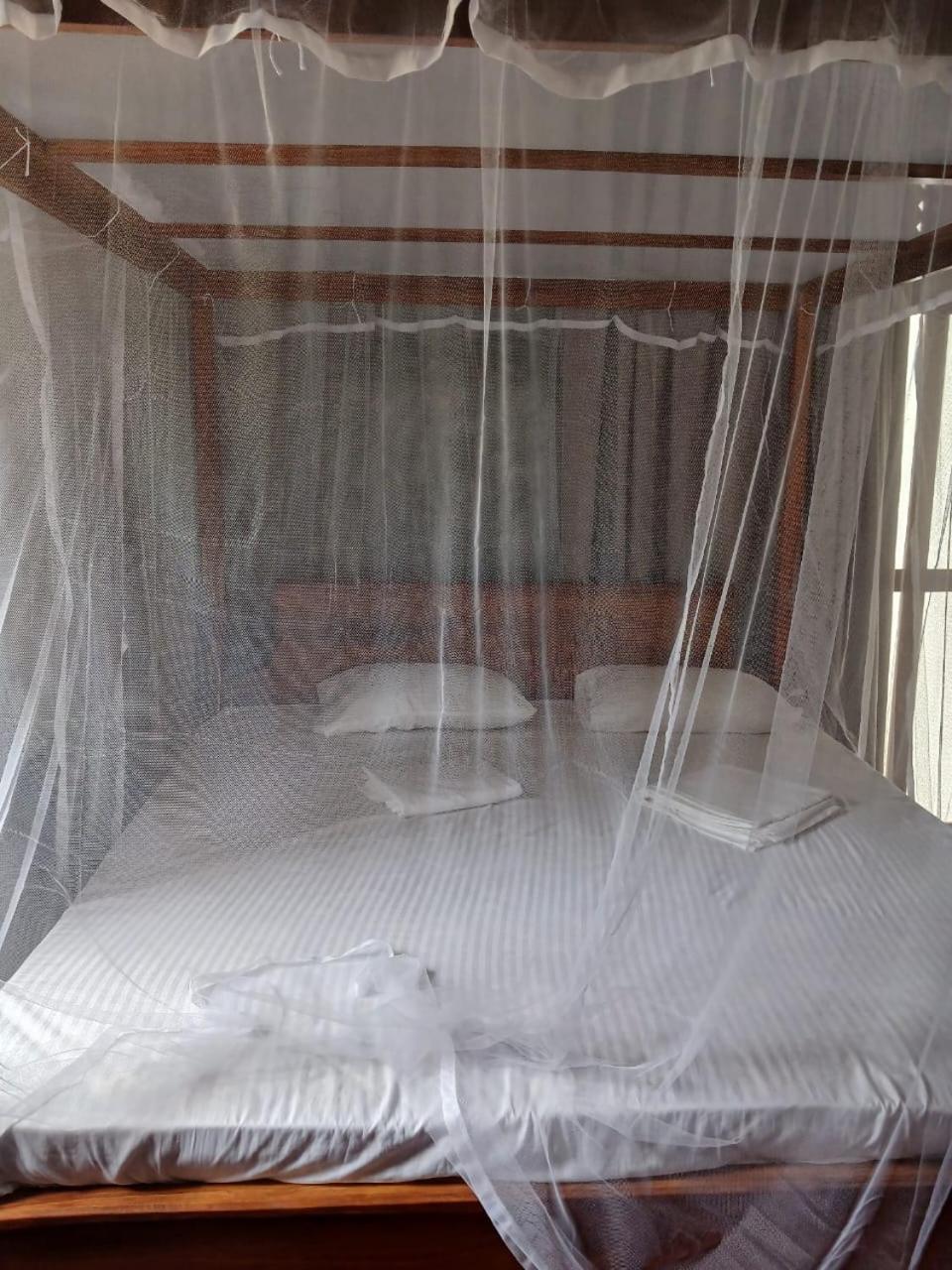 Ima House Bed and Breakfast Dikwella Eksteriør billede